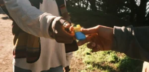 JETTY EXTRACTS