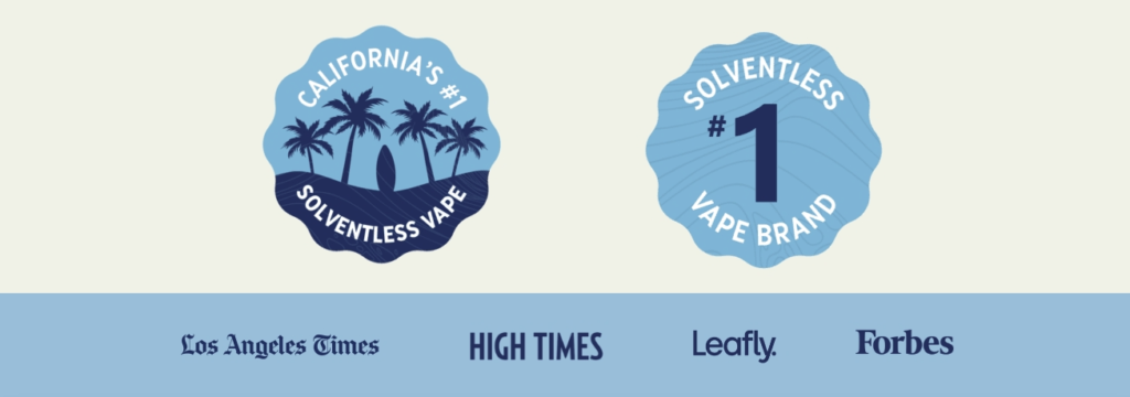 JETTY EXTRACTS